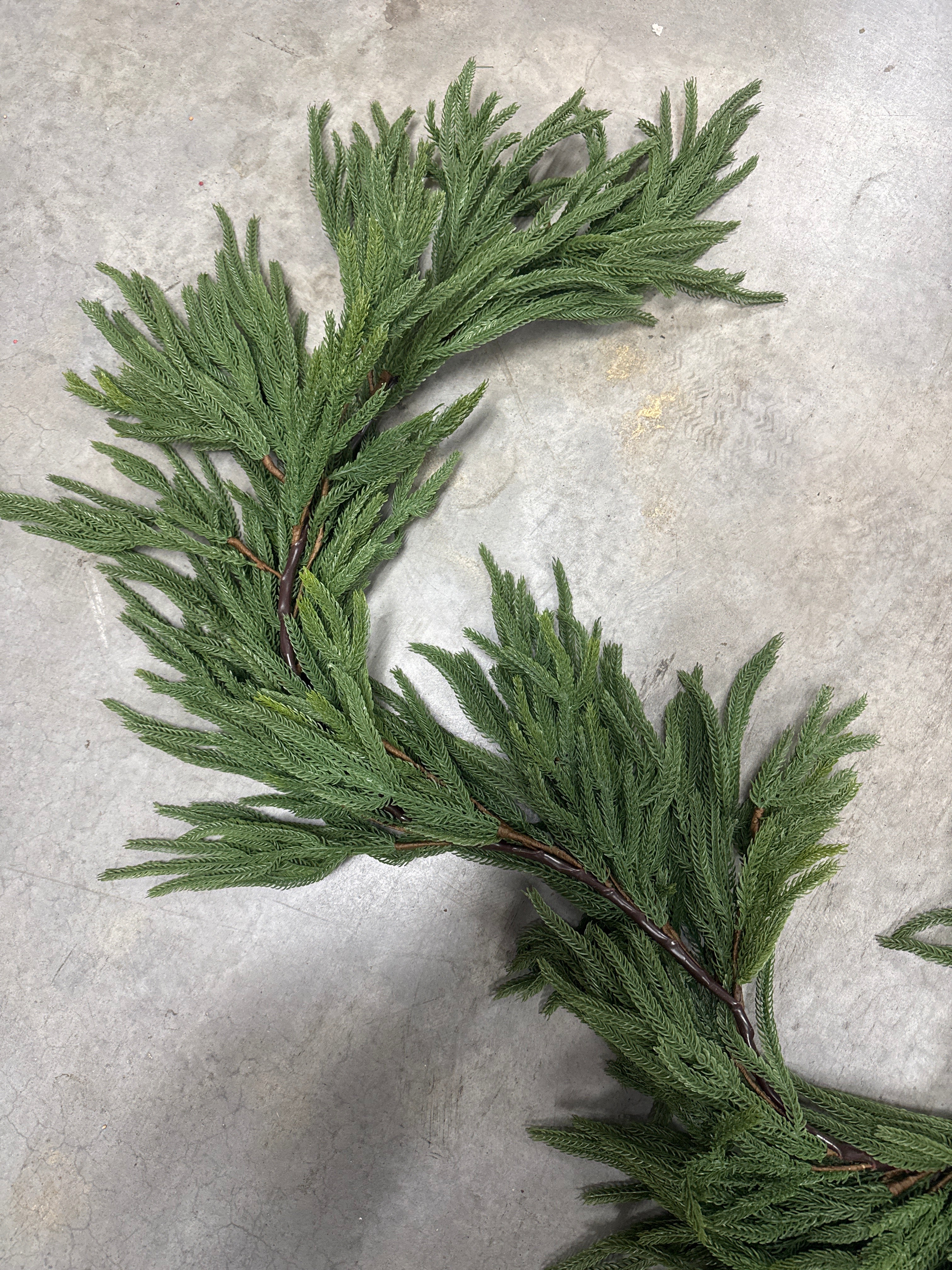 6'L Cedar Mixed Pine Juniper Garland