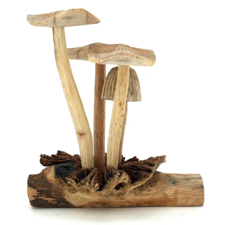 Four Wood Mushrooms On Parasite Wood