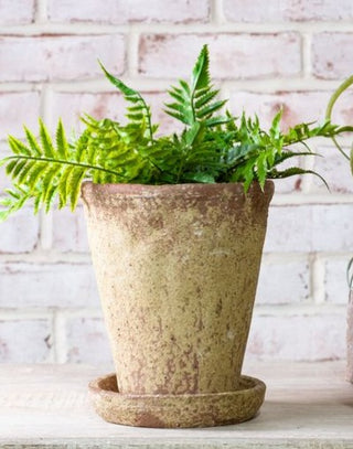 Distressed Terracotta Planter, Size Options