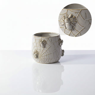 House Spider Pot