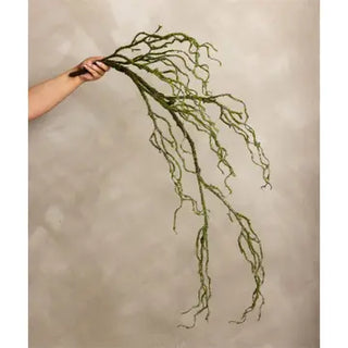 Mossy Branch 48"L