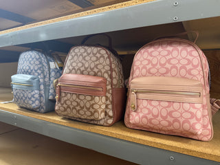 Pre order Carol Backpack