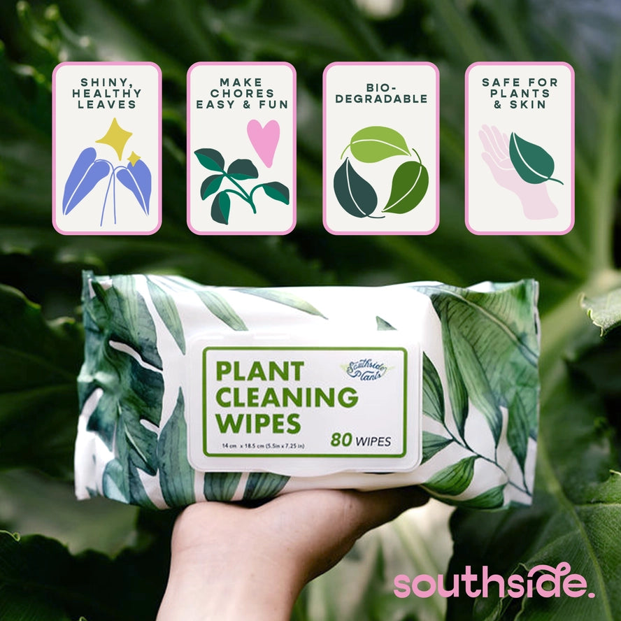 Houseplant Cleaning Wipes