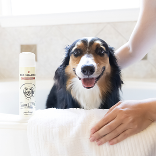 Soothing Dog Shampoo by Mixologie