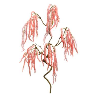 36" Amaranthus Spray, Pink