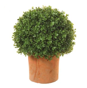 17.5" Boxwood Ball in Clay Pot