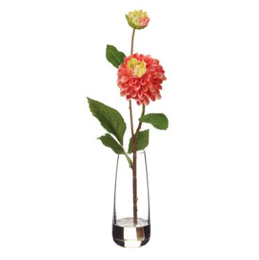 14" Dahlia in Glass Vase, Coral