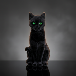 13" Black Cat