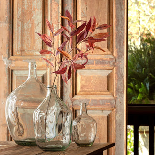 Pre Order Blushing Eucalyptus Stem