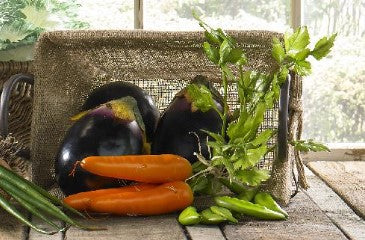 17" Orange Long Carrot