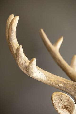Pre Order Antique White Faux Concrete Deer
