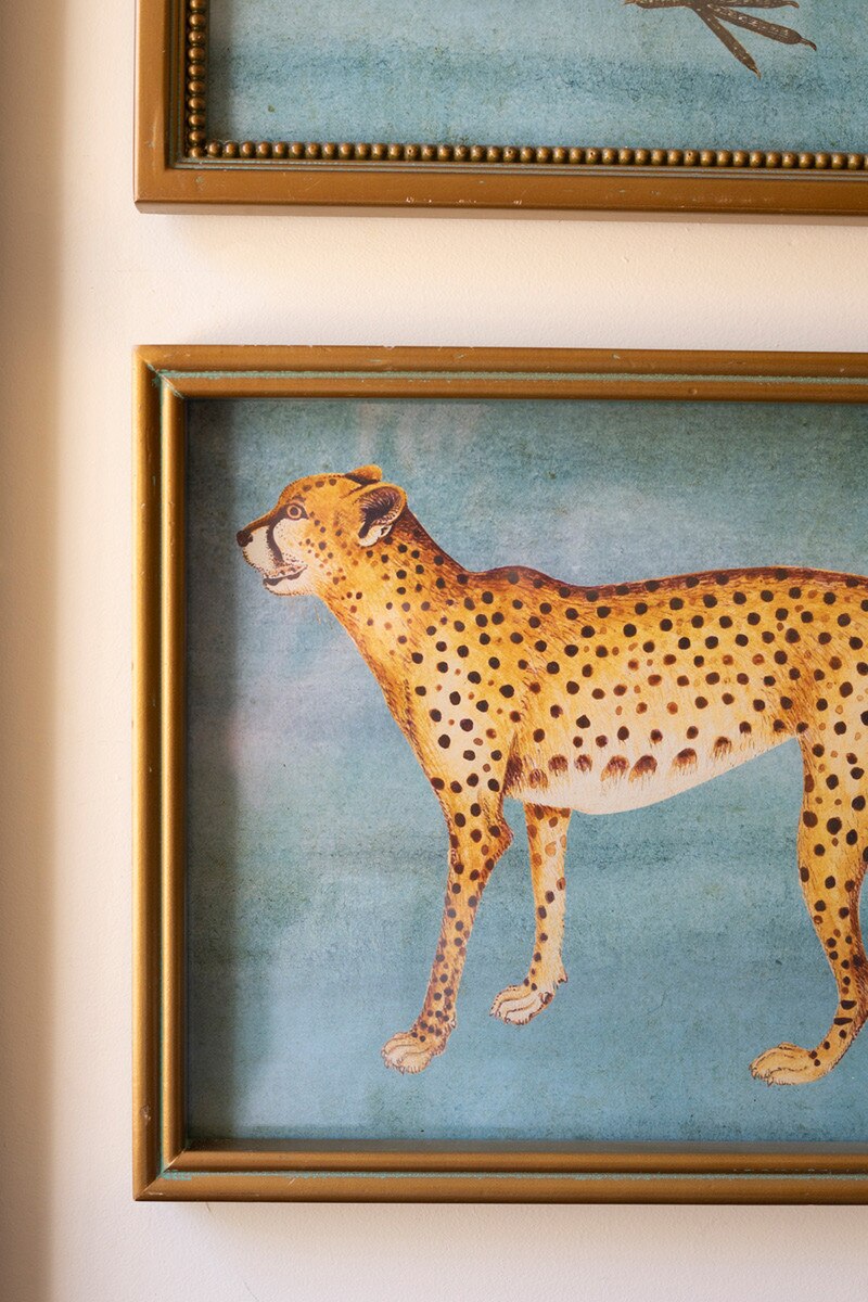 Pre Order Exotic Animal Under Glass Print, 4 Style Options