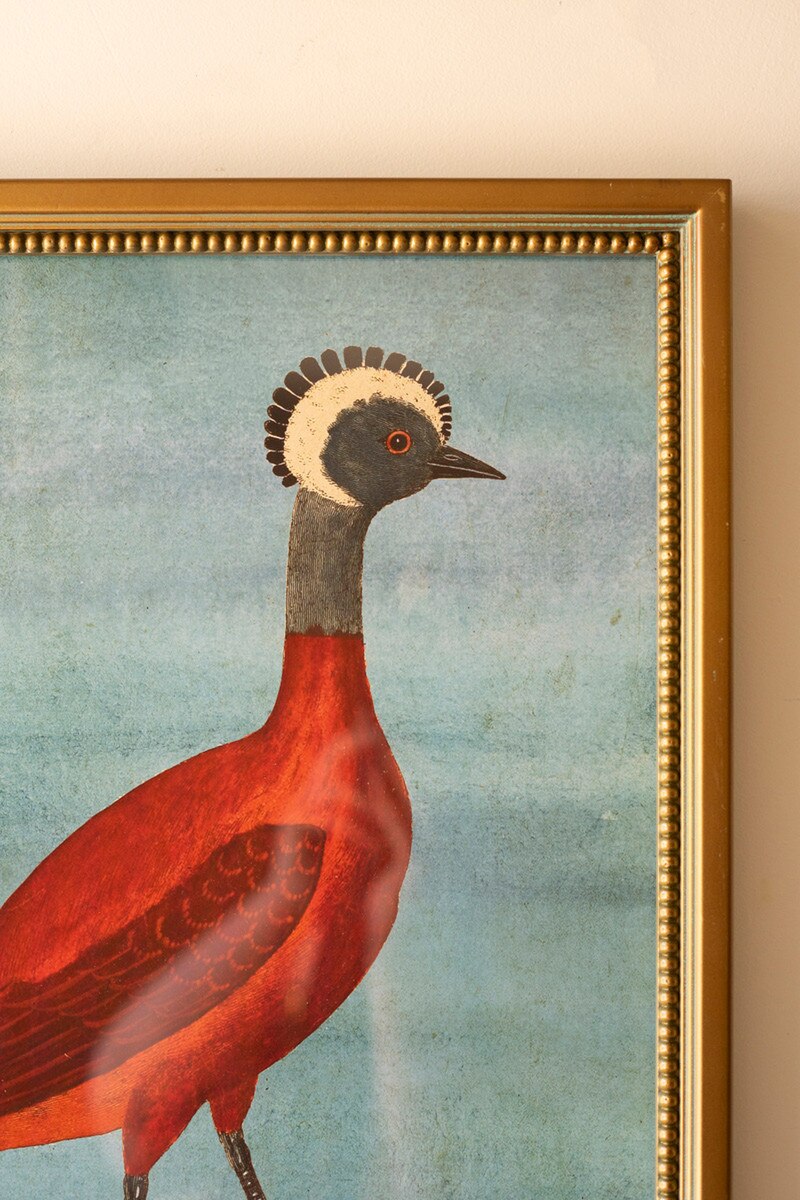 Pre Order Exotic Animal Under Glass Print, 4 Style Options