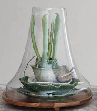 Recycled Glass Cloche with Mango Wood Footed Base