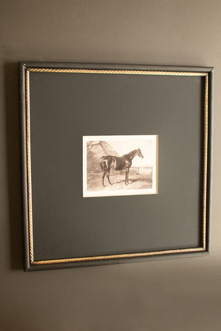 Pre Order Framed Black & White Horse Print, 2 Style Options