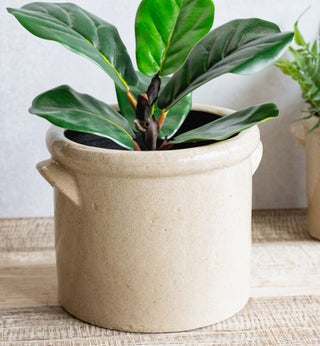 Pre Order ( Oct) 2 Handle Ceramic Crock