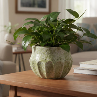 Crackle Glaze Terra-cotta Planter