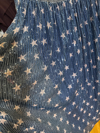 Star Sequined Mesh Skirt, 2 Color Options