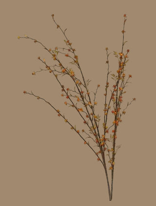 35"L  Wild Bittersweet Bush