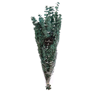 Eucalyptus Satin Green