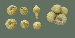 6pc Green Pumpkin Gourd Assortment