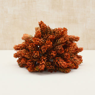 Pre Order Orange Hops Orb