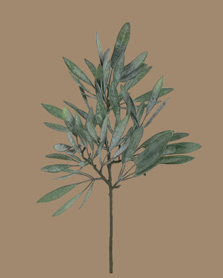 23"L Eucalyptus Spray