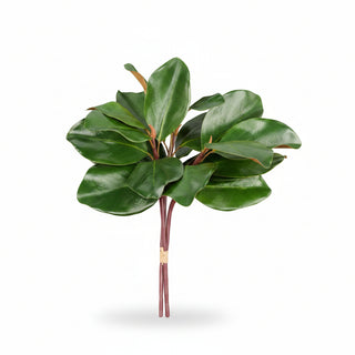 18"L Green Magnolia Leaf Bundle