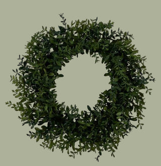 24" Wild Boxwood Wreath