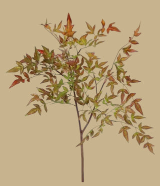 39" L Burgundy Nandina Spray