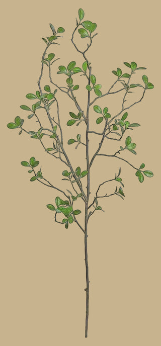40"L Bonsai Ficus Branch