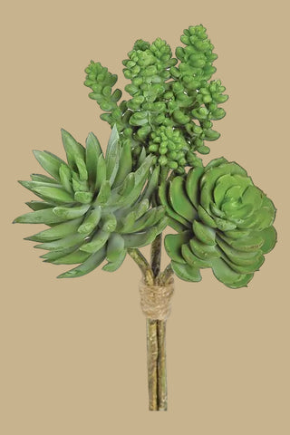 Mixed Faux Succulent Bundle