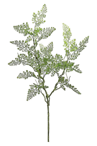 33" Maidenhair Fern Spray