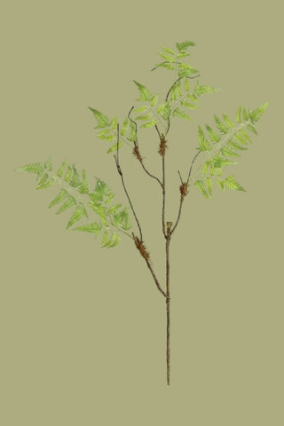 38" L Fern Twig Spray