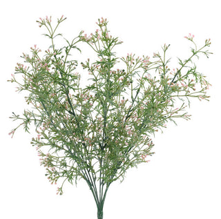 Wildflower Bush, Color Options