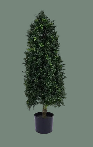 Cone Shape Boxwood Topiary 36"H