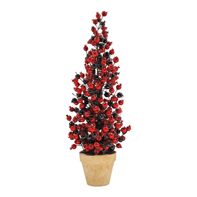 24" Cranberry Tree in Pot