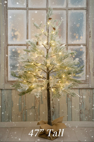 Pre Order Lighted Flocked Cedar Tree, 2 Size Options