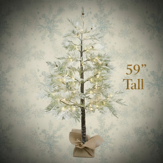 Pre Order Lighted Flocked Cedar Tree, 2 Size Options