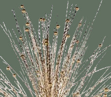 40" Twist Wire/Glitter Ball Spray