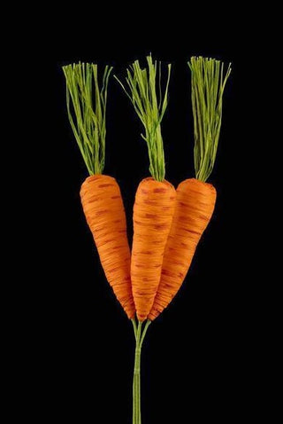 Carrot Bundle 16'L
