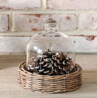 Willow Base Glass Cloche