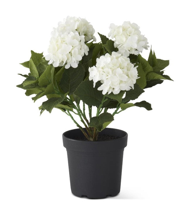 18.75" 5 Bloom Potted Hydrangea with Faux Dirt, Color Options