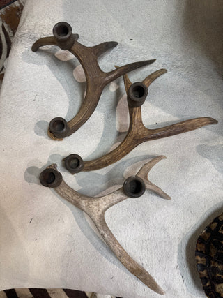 Pre order antler candle holder
