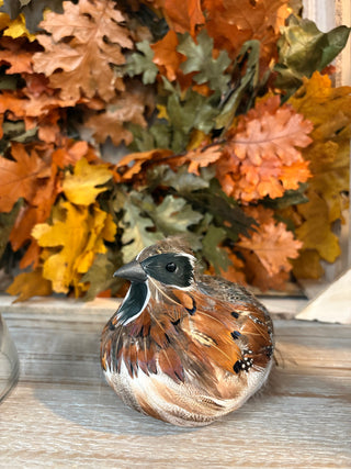 6"L Feathered Quail