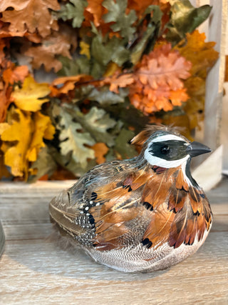 6"L Feathered Quail