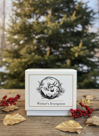 The Nested Fig Reserve Candle Collection , Scent & Size Options
