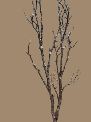48"L Twig Branch