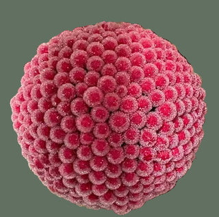 Hedge Apple Ornament