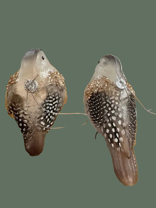 Set of 2 Glass Bird Ornaments